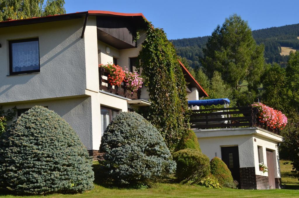 Apartmán Braun Rokytnice nad Jizerou Szoba fotó