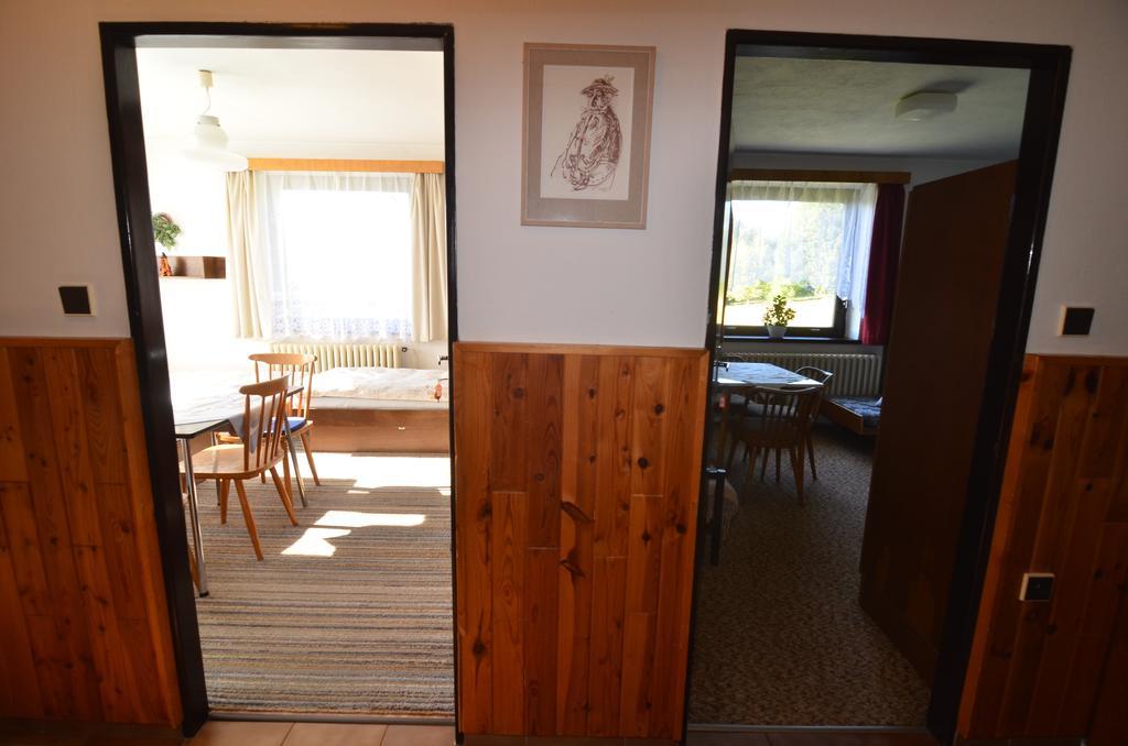 Apartmán Braun Rokytnice nad Jizerou Szoba fotó