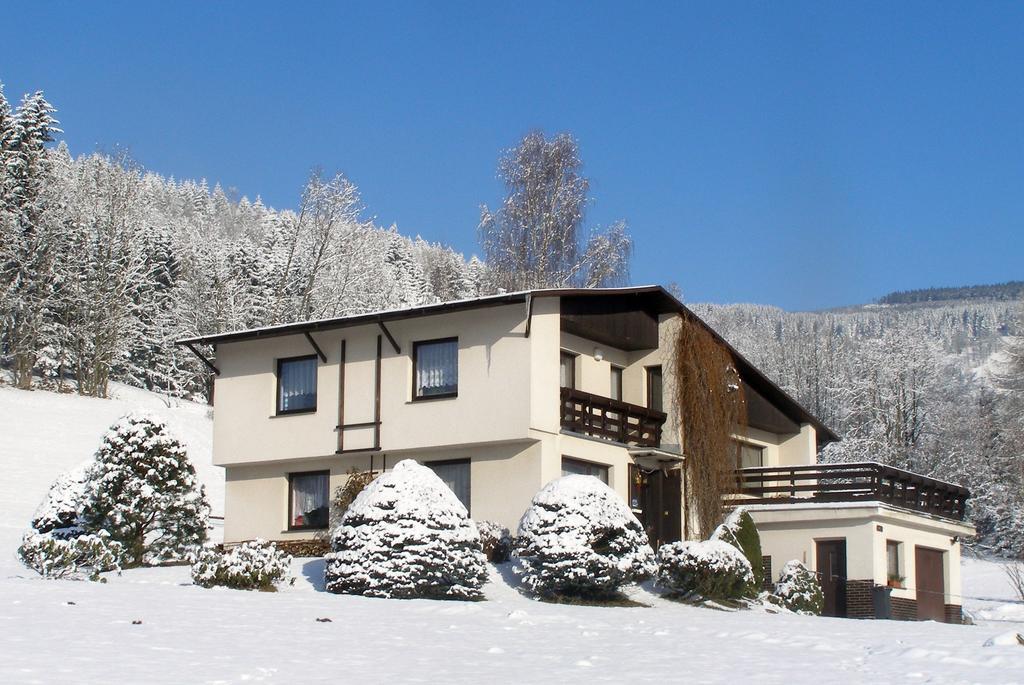 Apartmán Braun Rokytnice nad Jizerou Szoba fotó