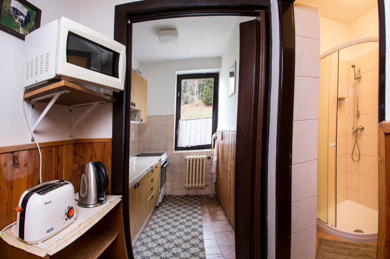 Apartmán Braun Rokytnice nad Jizerou Kültér fotó