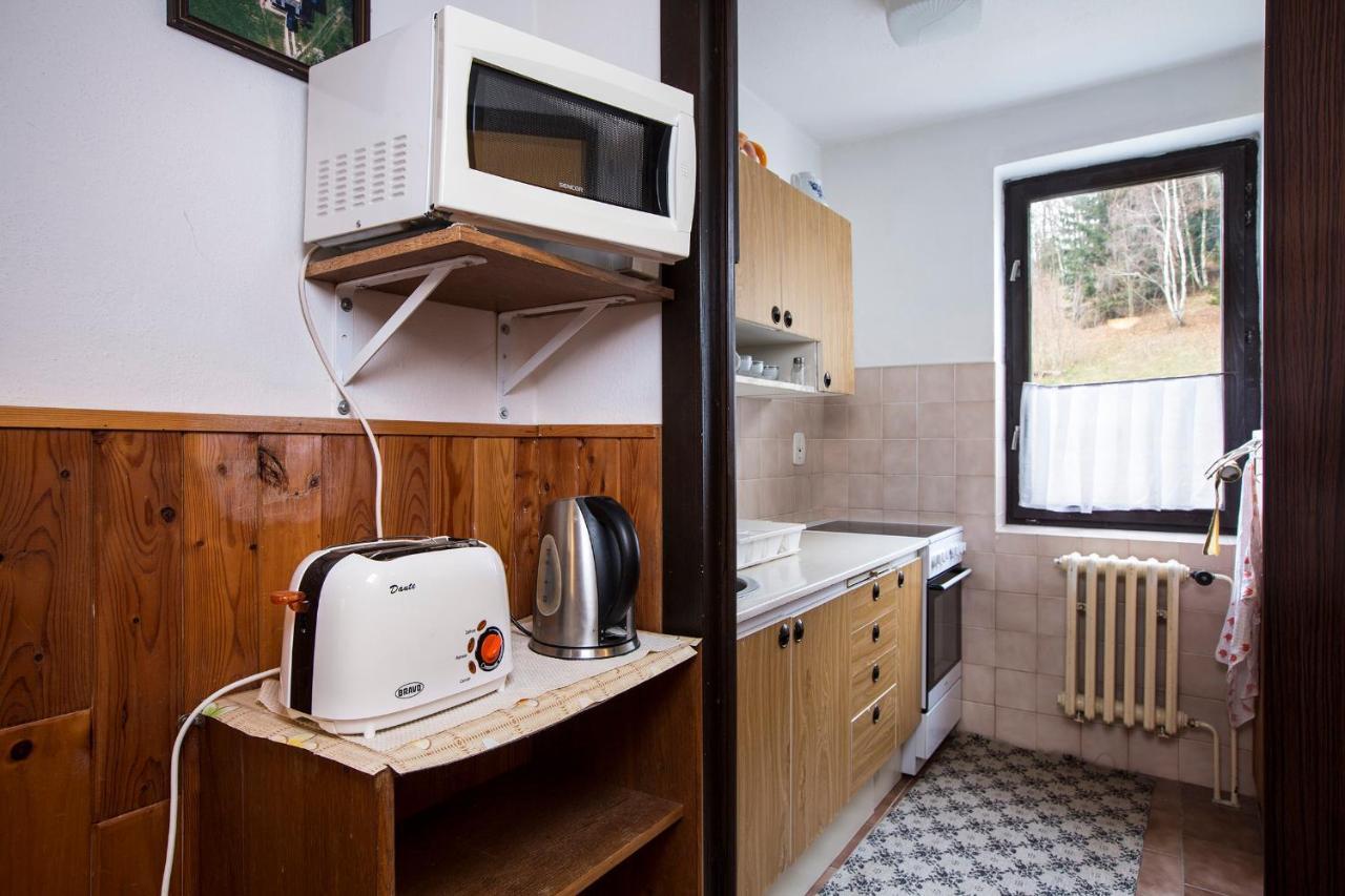 Apartmán Braun Rokytnice nad Jizerou Kültér fotó