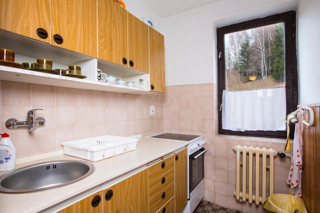 Apartmán Braun Rokytnice nad Jizerou Kültér fotó